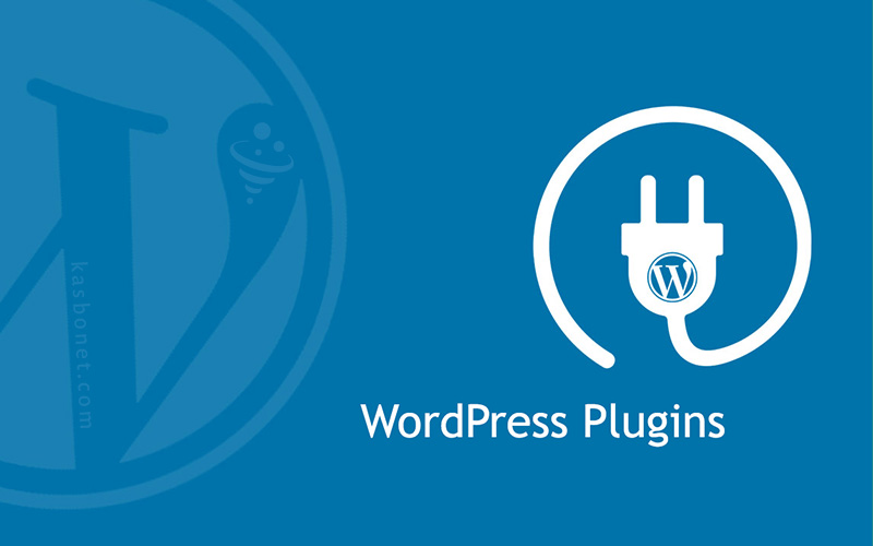 افزونه‌ های وردپرس: چگونه انتخابی هوشمندانه داشته باشیم؟