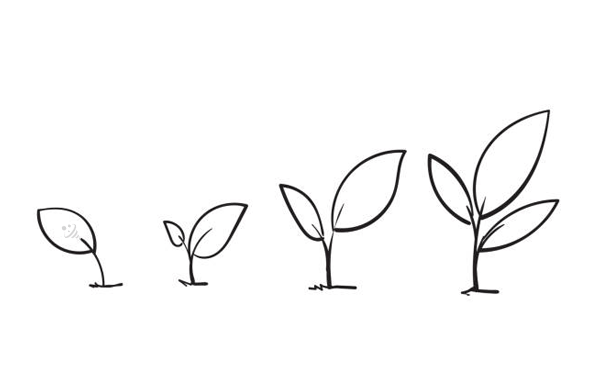 شروع کوچک و رشد تدریجی