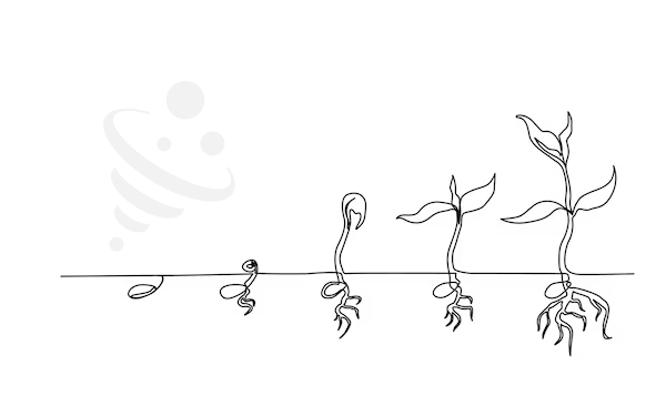 عدم توجه به استمرار و طول عمر کمپین