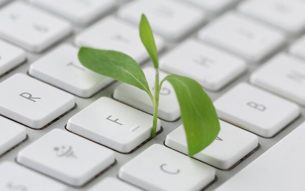 چرا محتوای همیشه سبز اهمیت دارد؟